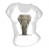 Женская футболка "Слон 1" с принтом